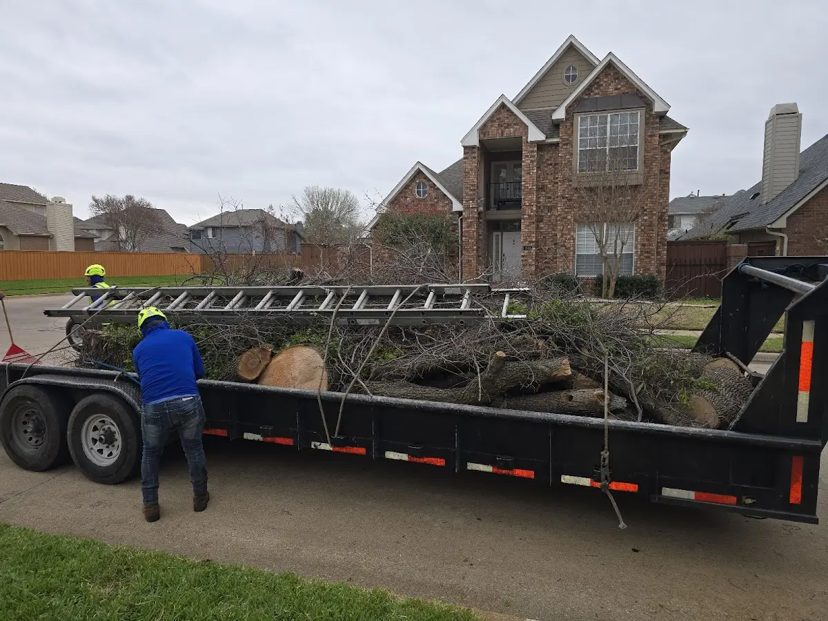 Expert Tree Removal with proper safety equipment in Garrison